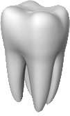 teeth1